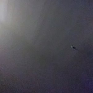 Meet your Posher, Ramon