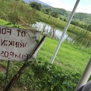 Meet your Posher, Cassandra