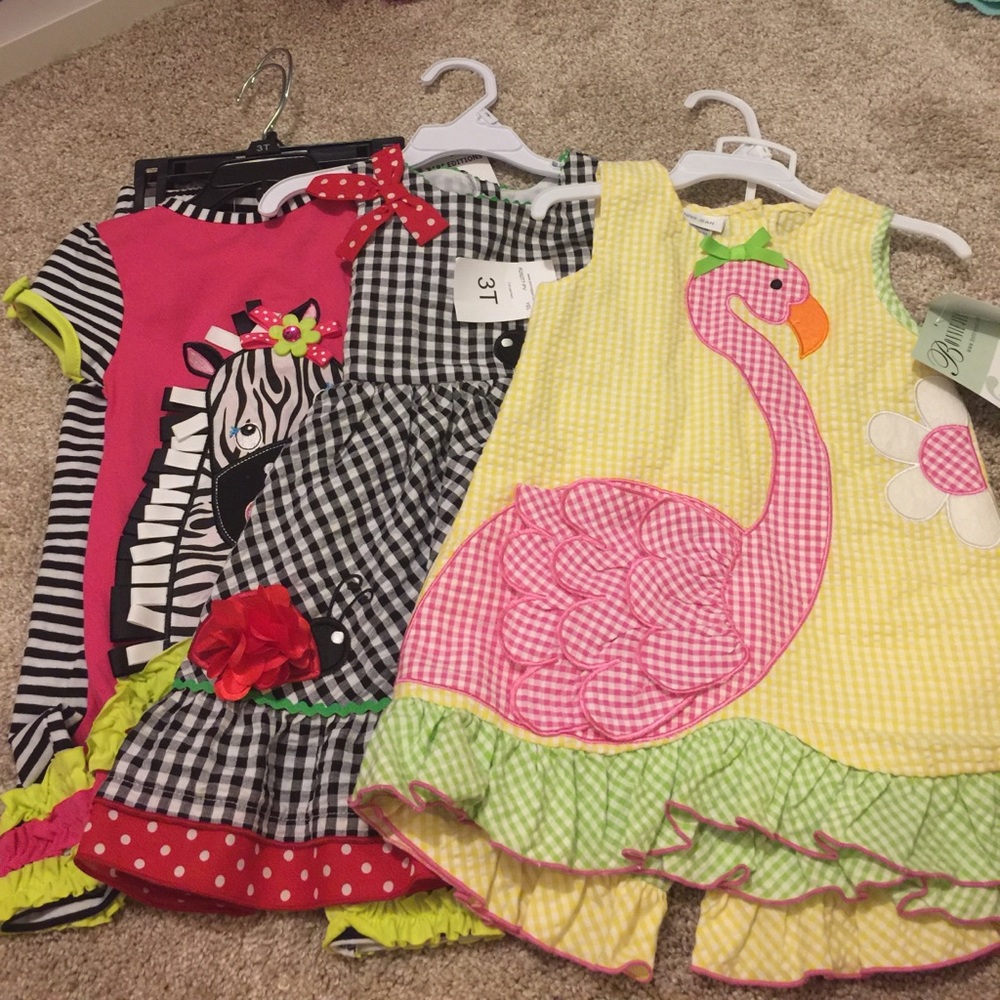 Girls 3T Outfit Bundle