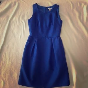 J. Crew Cobalt Blue Structured Dress