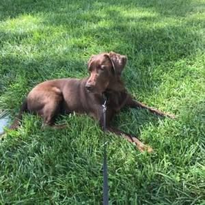 Meet your Posher, Amy