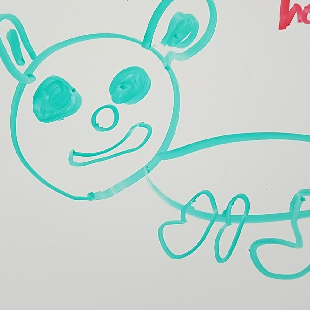 Meet your Posher, Sandra