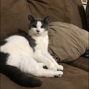 Meet your Posher, Elayna