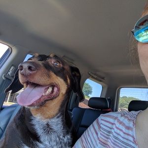 Meet your Posher, Amy