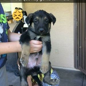 Meet your Posher, Yaneth