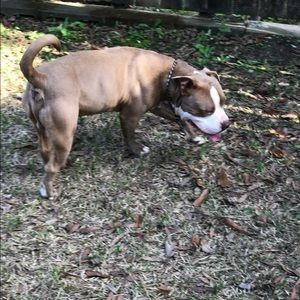 Meet your Posher, Thaddeus