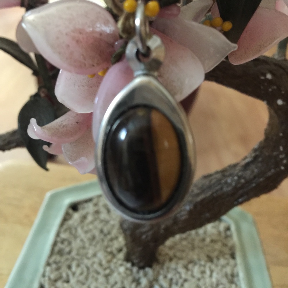 Collectable tiger eye power spiritual pendent