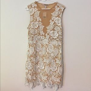 White lace dress