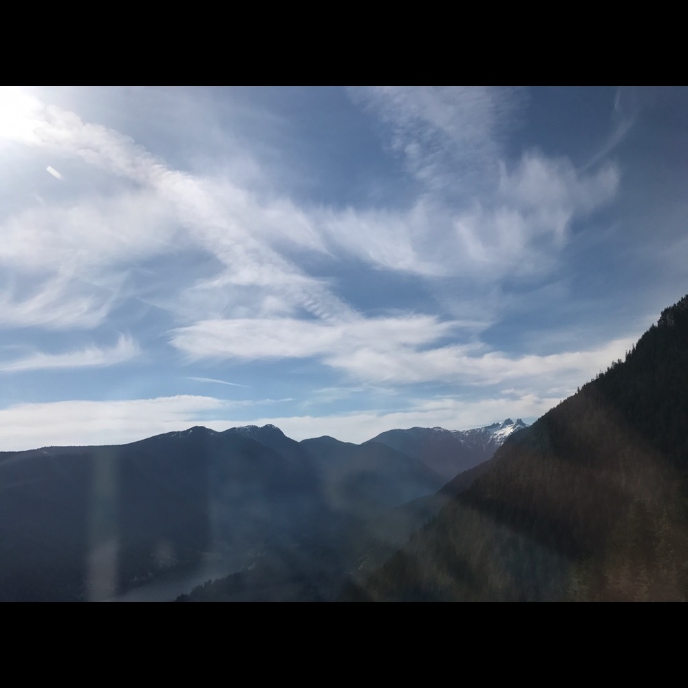 30 seconds before shopping😛😛