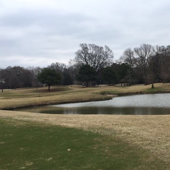 Meet your Posher, Abbie - Picture 1 of 1