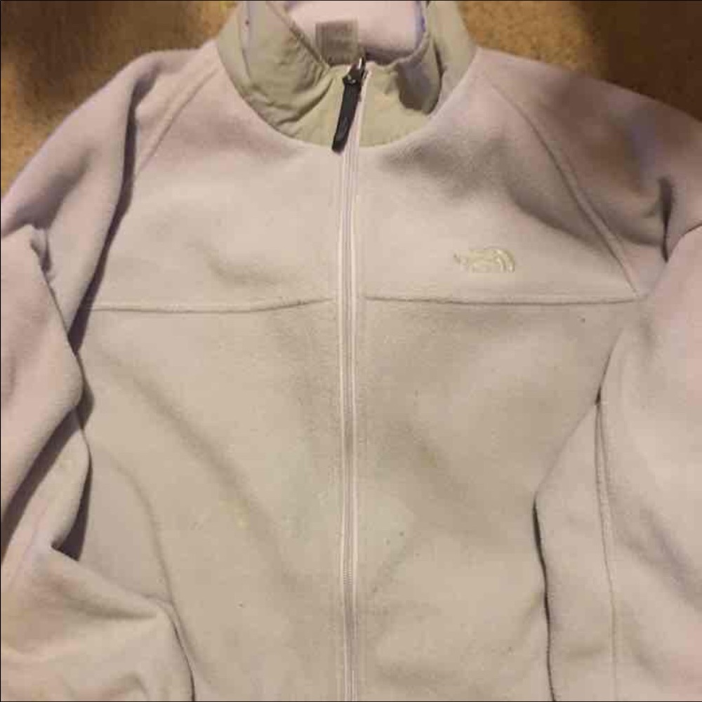 Purple / silver North Face
