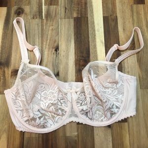 PrimaDonna Divine Lace Bra 36E