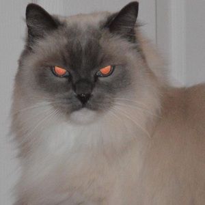 Meet your Posher, Kate