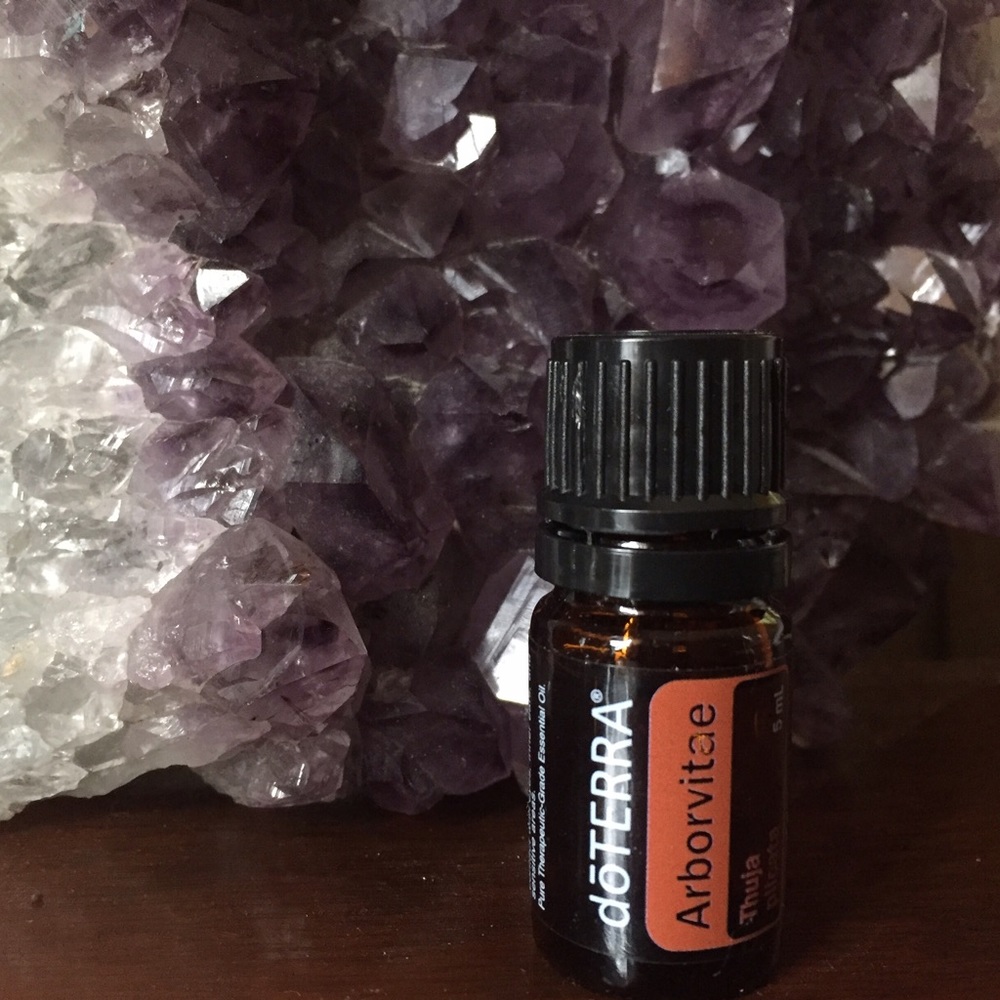 DoTerra Arborvitae 5ml Oil like new