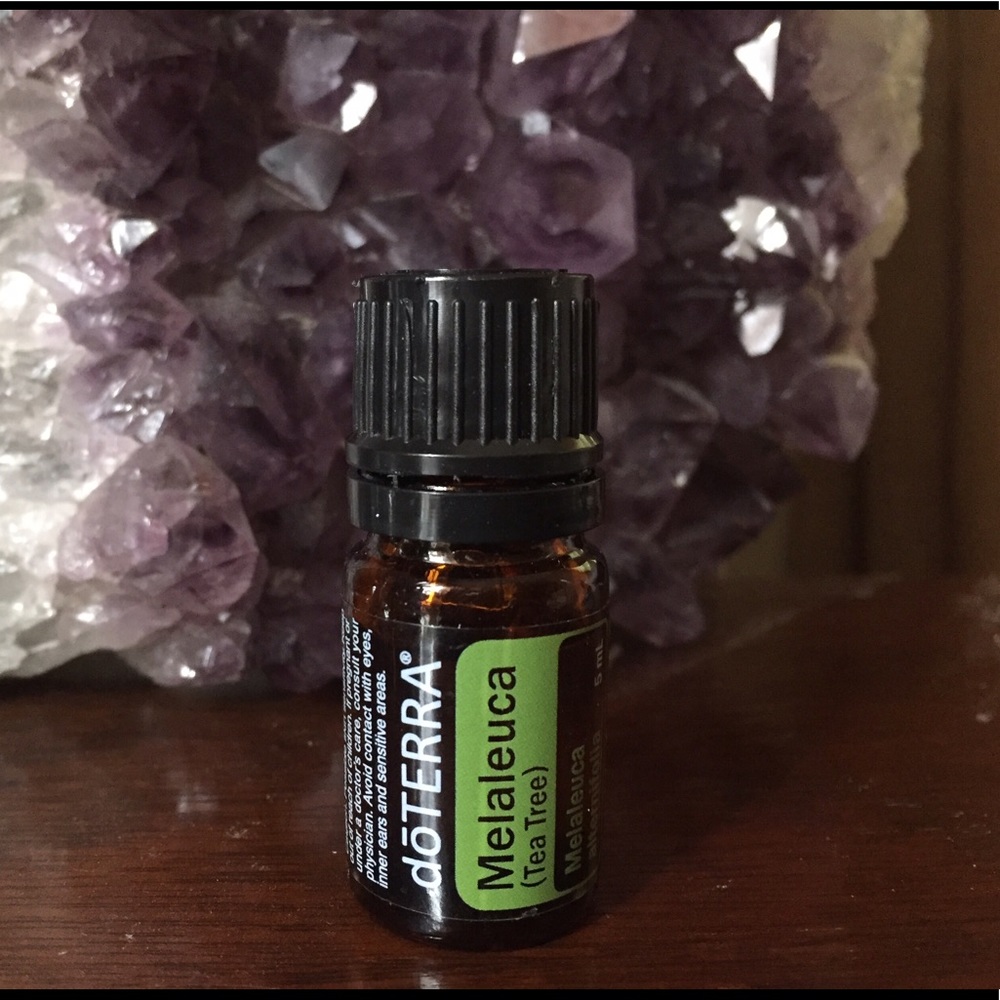 NEW DoTerra Tea Tree Melaleuca 5ml Oil