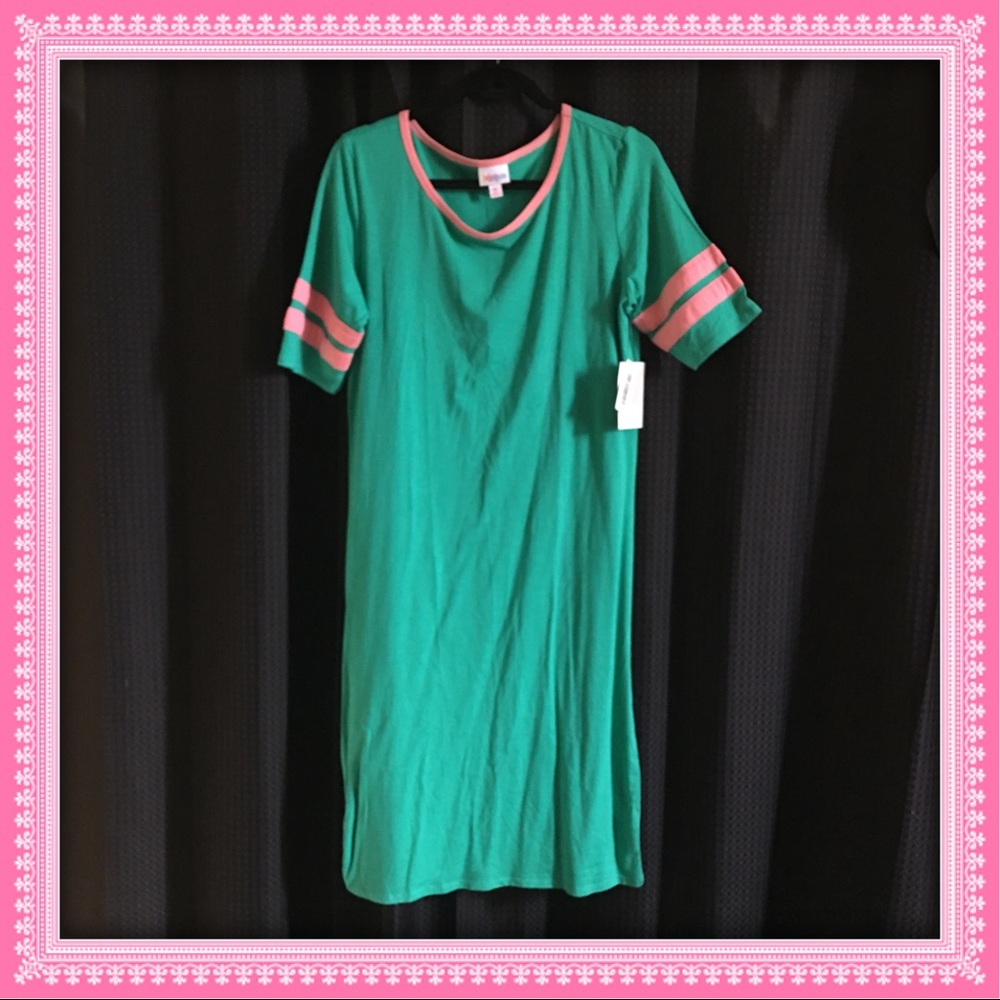 LuLaRoe pink and green Julia XL NWT