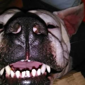 Meet your Posher, Linda