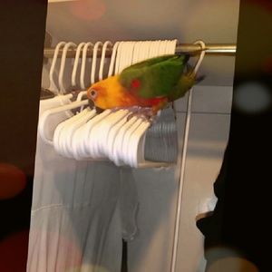 ♥ CLOSET CLEAR OUT