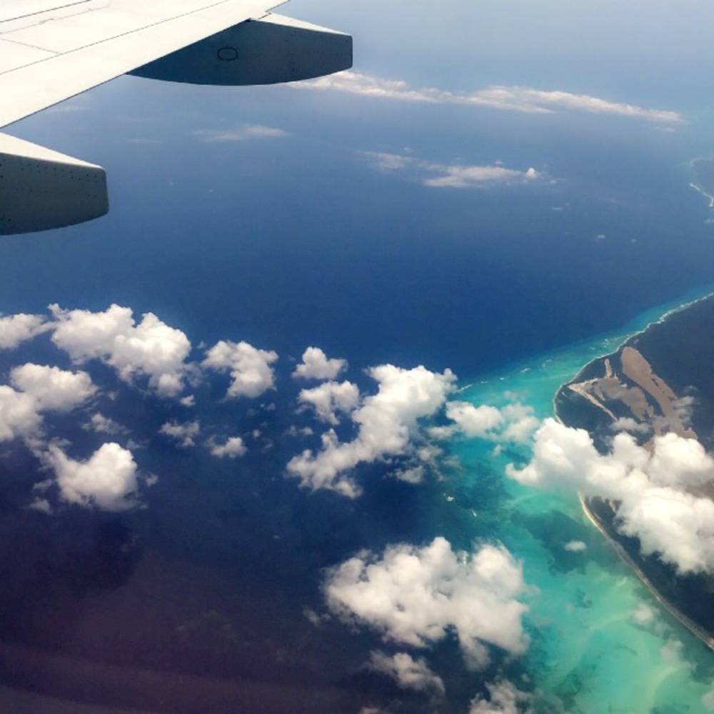 Meet your Posher, Ally