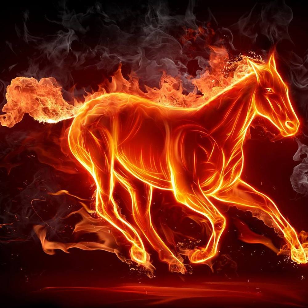 Meet your Posher, Sharon lyn