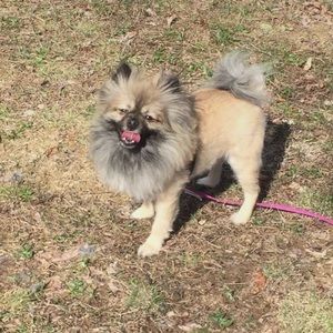 Meet your Posher, Tanesha