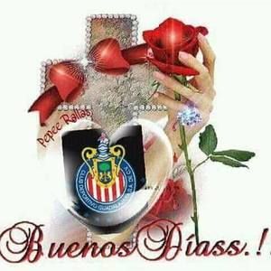 Meet your Posher, Villegas arcos