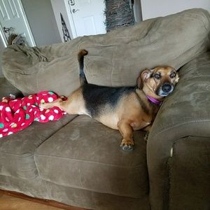 Meet your Posher, Tina