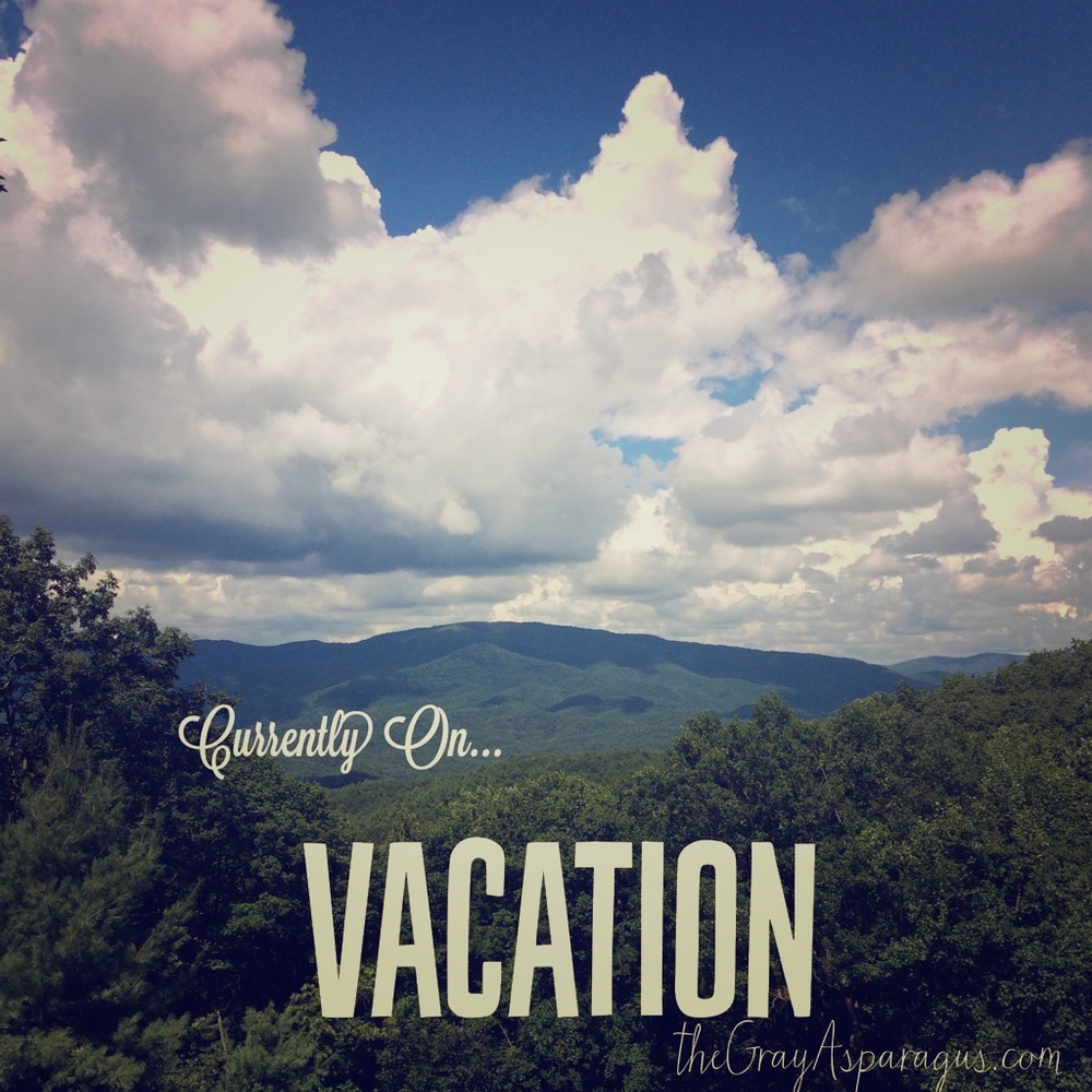 On Vacation!! - image 1