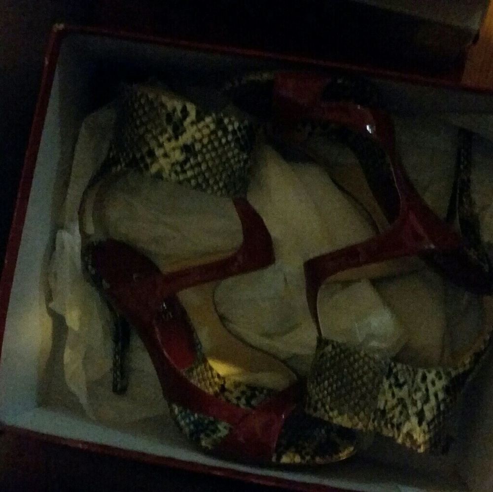 New guess red snake
