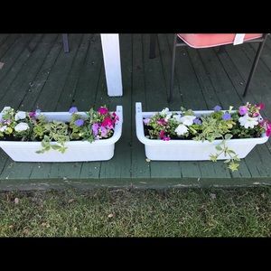 Meet your Posher, Fern