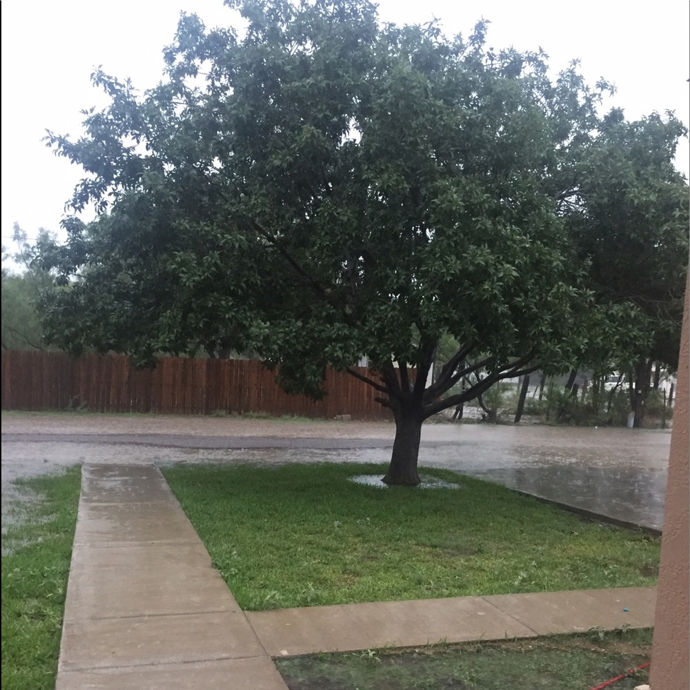 Meet your Posher, Cecilia