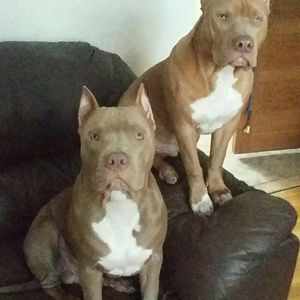 Meet your Posher, Gene