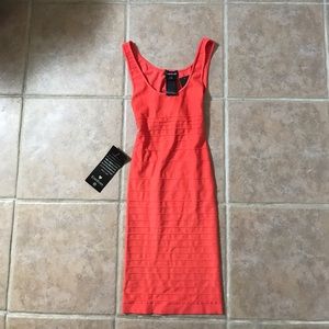 NWT Bebe open back bodycon dress