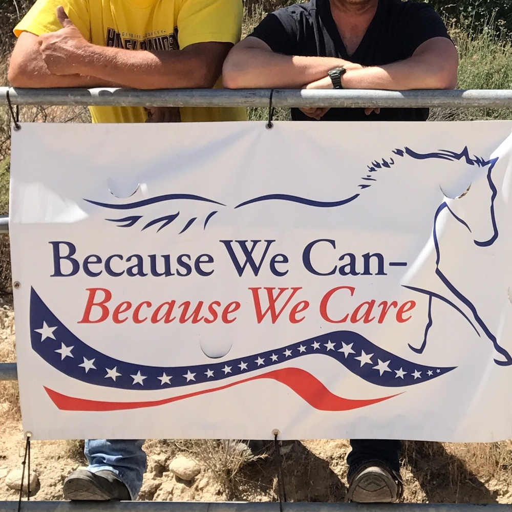 Horse Rescue Mission