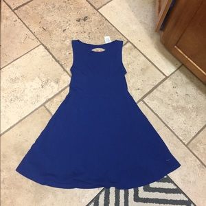 Blue PINK skater dress