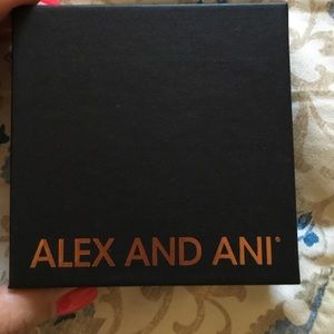 Alex and Ani box