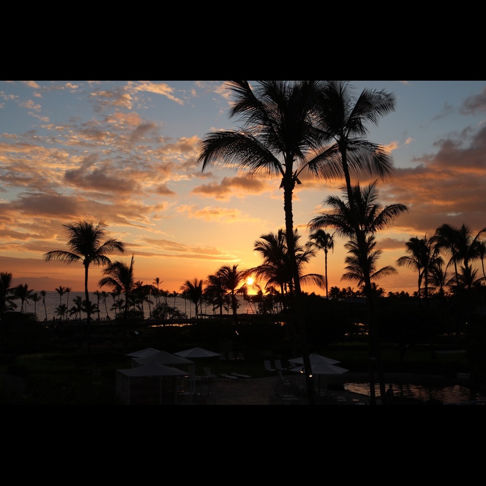 Meet your Posher, Mojan