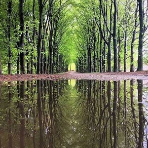 Meet your Posher, Alyse