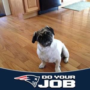 Meet your Posher, Beverly