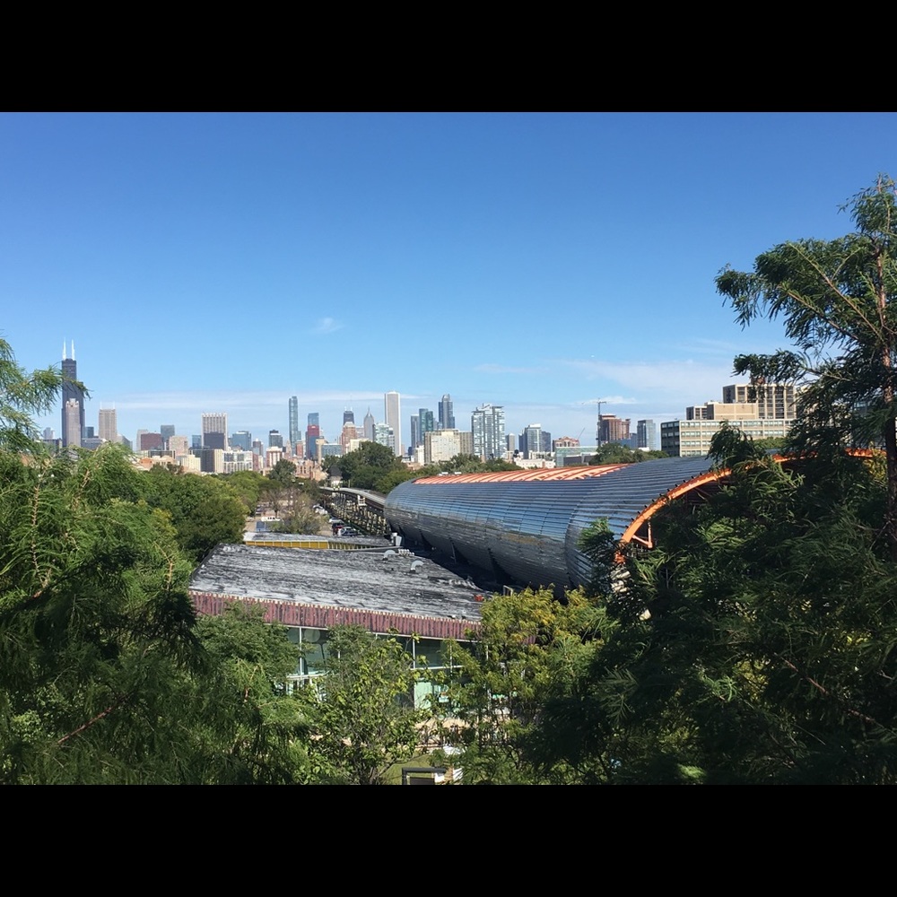 Meet your Posher, Jomana