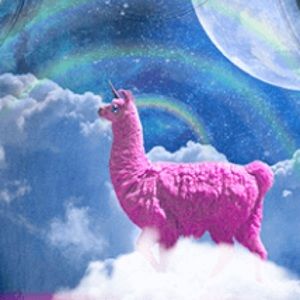 Meet your Posher, Solomon