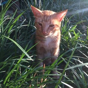 Meet your Posher, Lexy