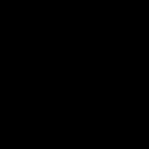 Meet your Posher, Sasha