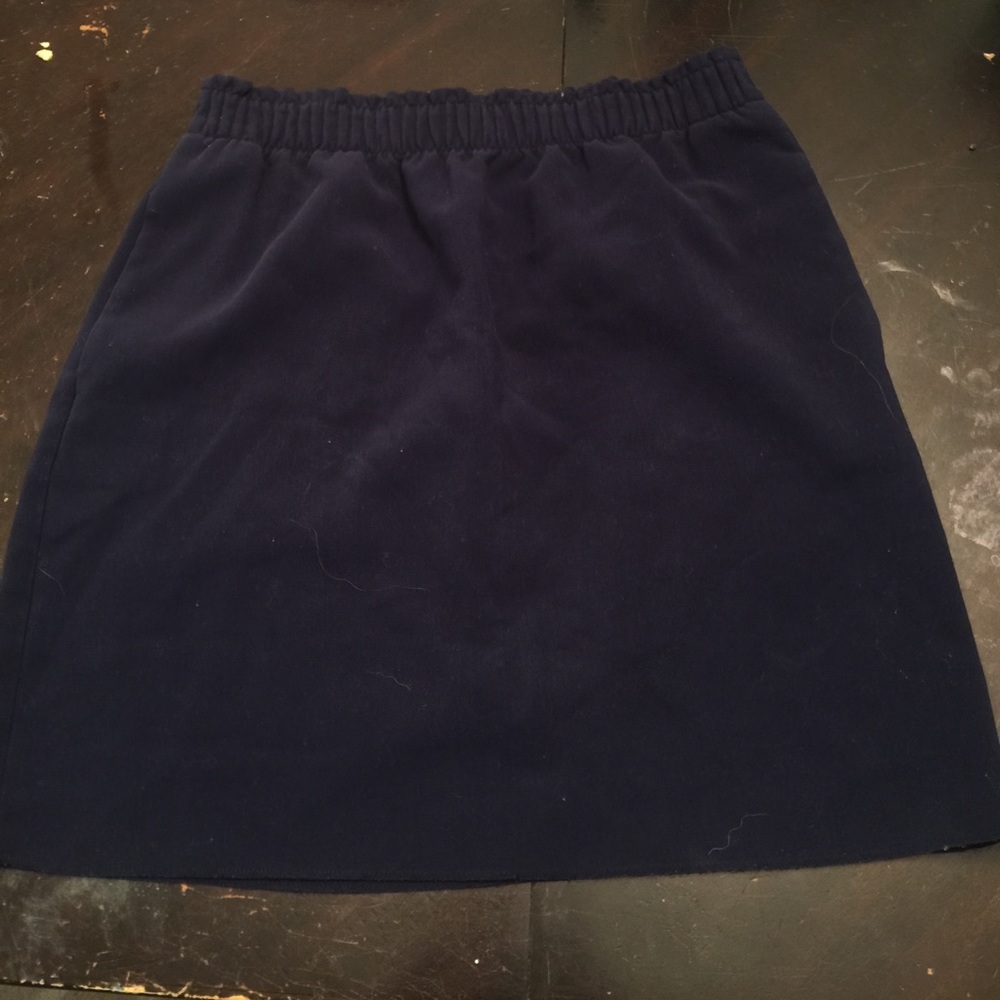 Navy Blue Skirt