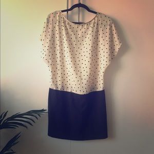 Zara Basics Dress