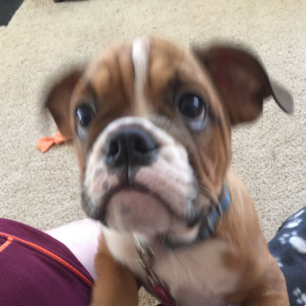 Meet your Posher, Byron