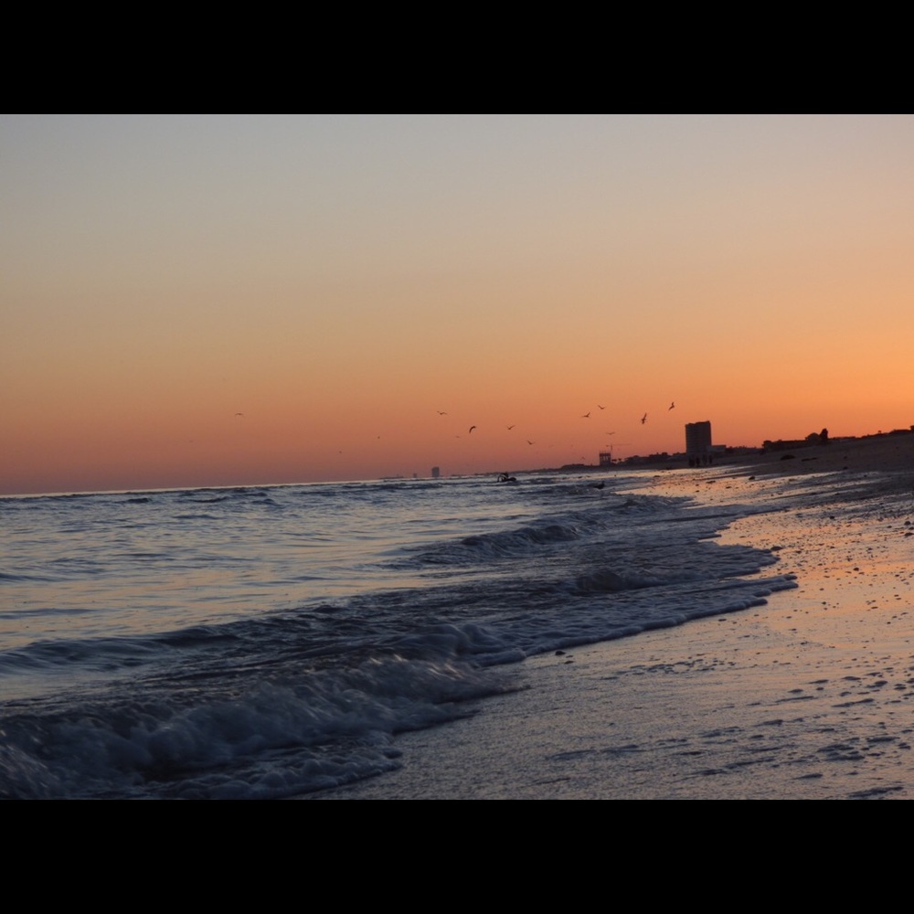 Meet your Posher, Courtney