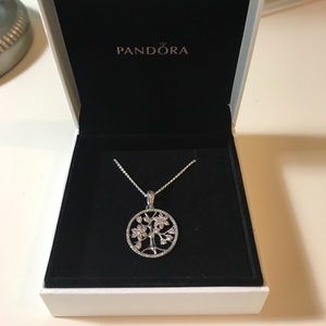 NEW NEVER WORN PANDORA NECKLACE
