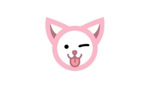 Meet your Posher, Halie