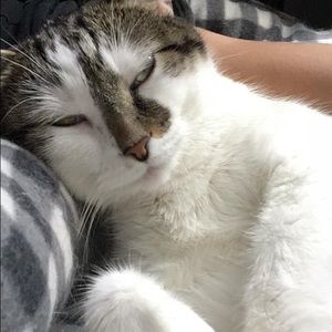 Meet your Posher, Rachelle